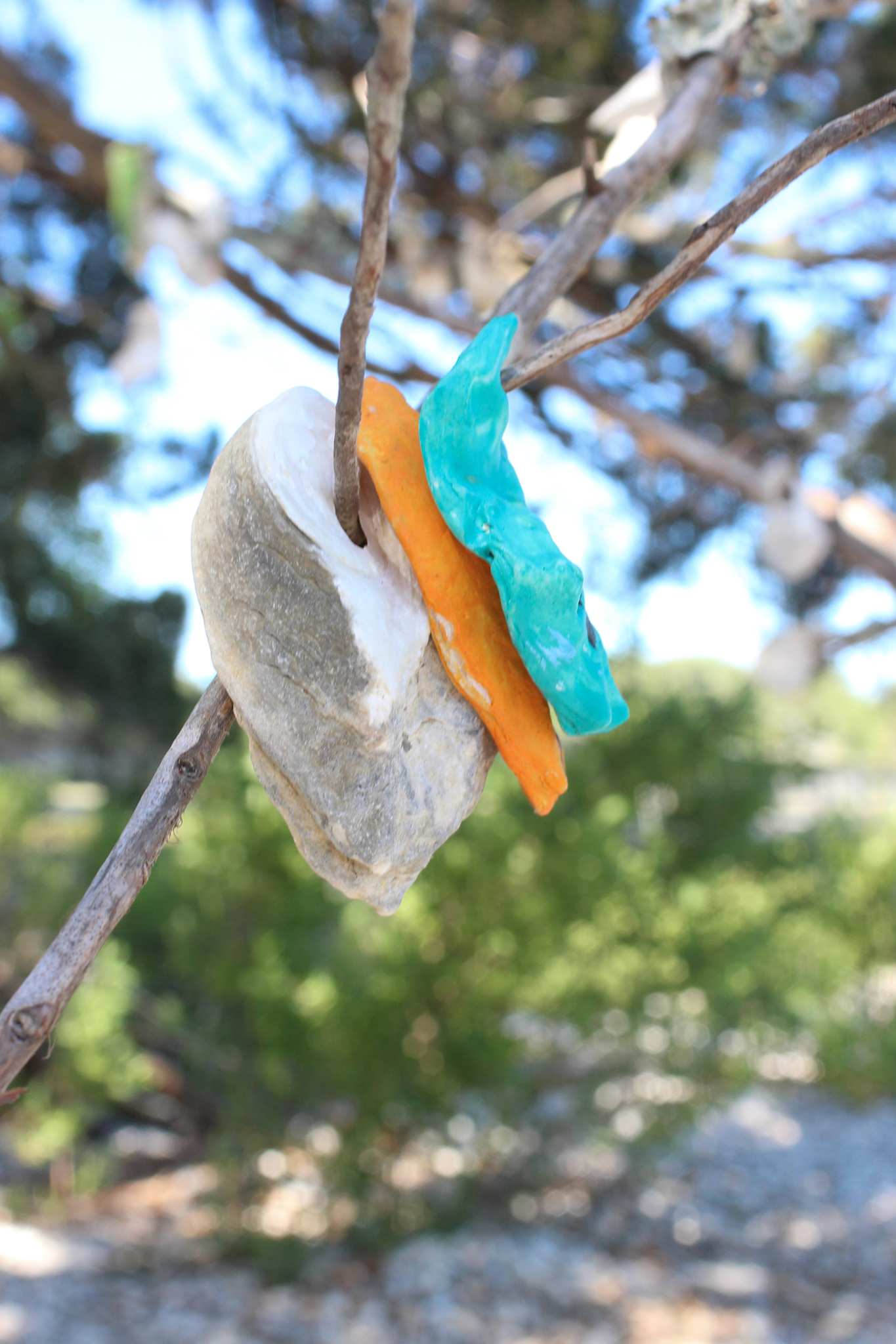 The Wishing Trees Shells