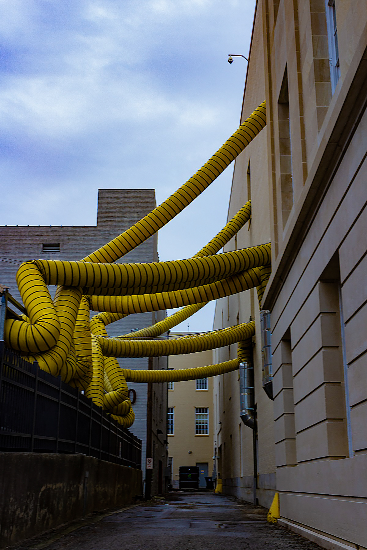 Yellow Tubes